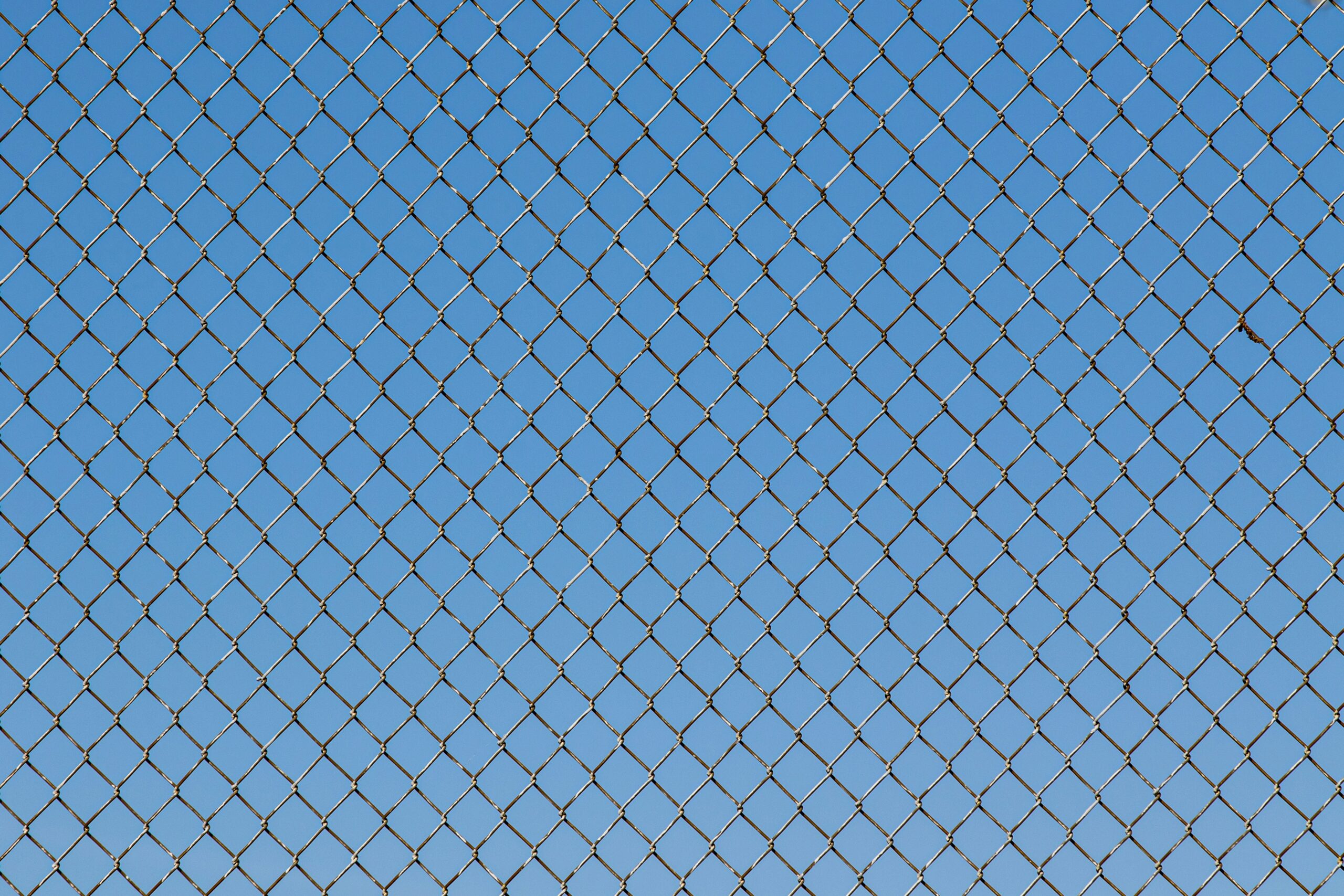 jarrod-erbe-uSc3Vex9Xwg-unsplash